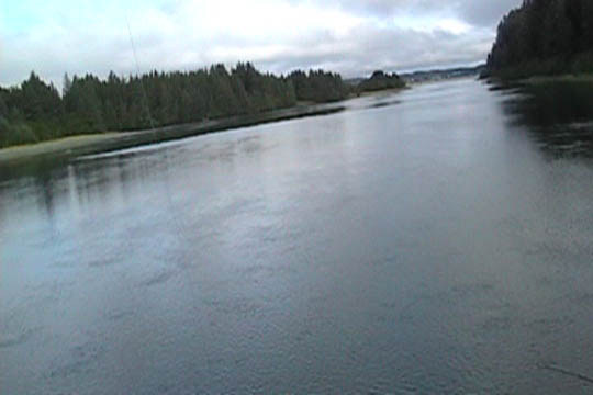 Ankowbridge
