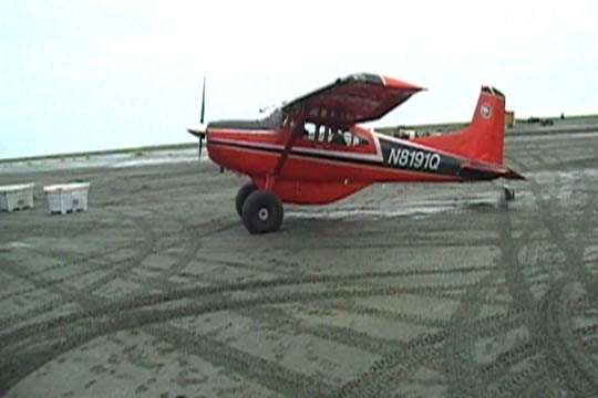 Beaver2