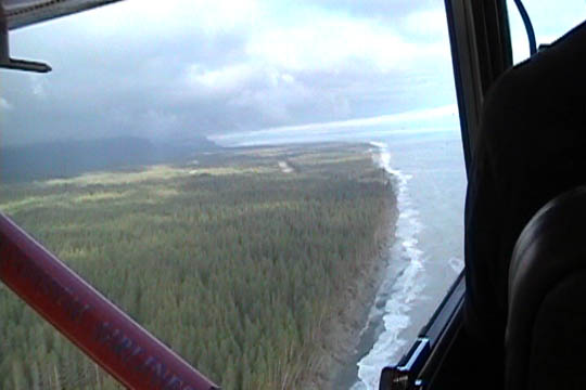 landscape4