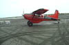 Beaver2