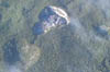 Glacier5