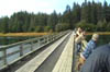 ankowbridge2