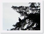 CIMG1140 * 2816 x 2112 * (2.08MB)