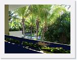 SN850021 * 3264 x 2448 * (1.29MB)
